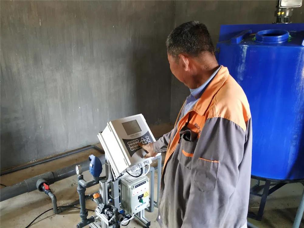 文登区葛家镇：现代高效农业播“绿”成“金”