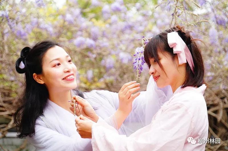 柳州柳侯公园有什么景物,柳州柳侯公园值得打卡