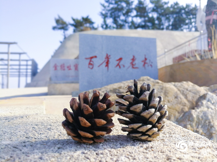 大连哈仙岛旅游攻略方案3天2夜,哈仙岛旅游几月份去最好