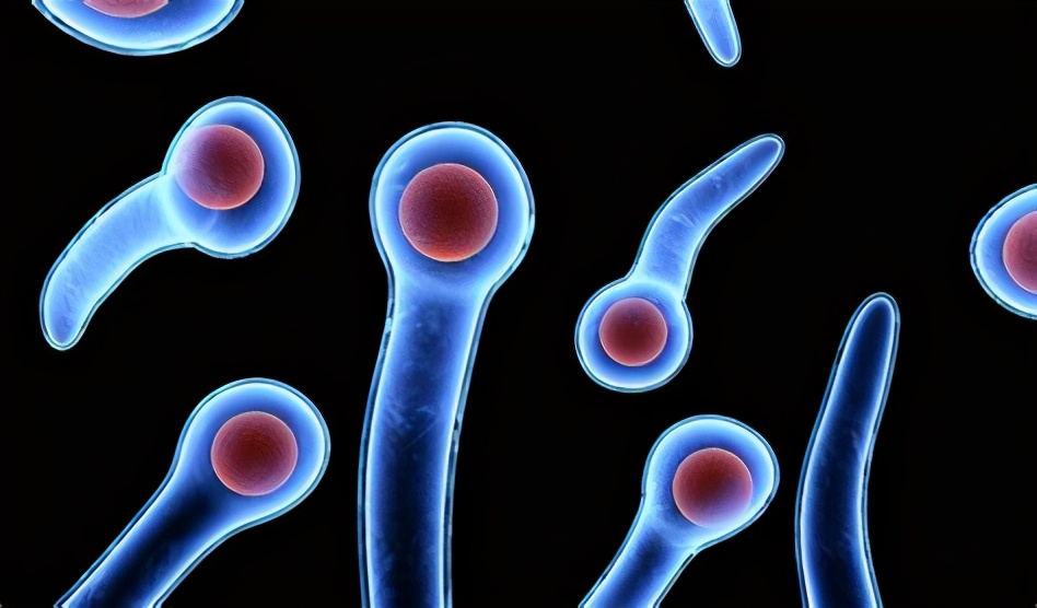 外伤处理后必须要打破伤风吗,受伤后为什么要打破伤风针