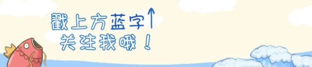 怎么在网上购买对讲机,小米对讲机2是数字还是模拟