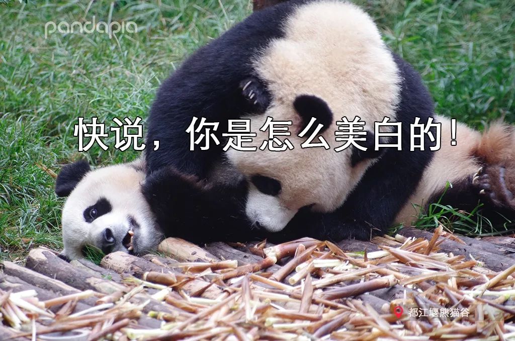 鍥藉疂缇庣櫧,鍥藉疂鐢ㄧ殑缇庣櫧闈㈣啘