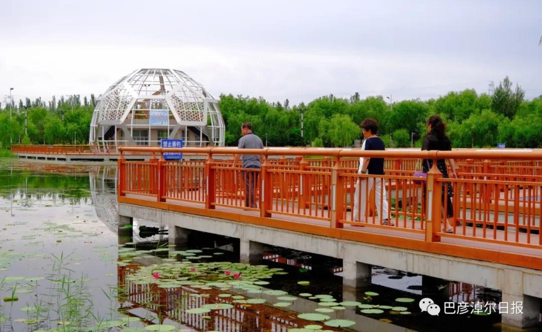 临河植物园景色,临河荷花景区