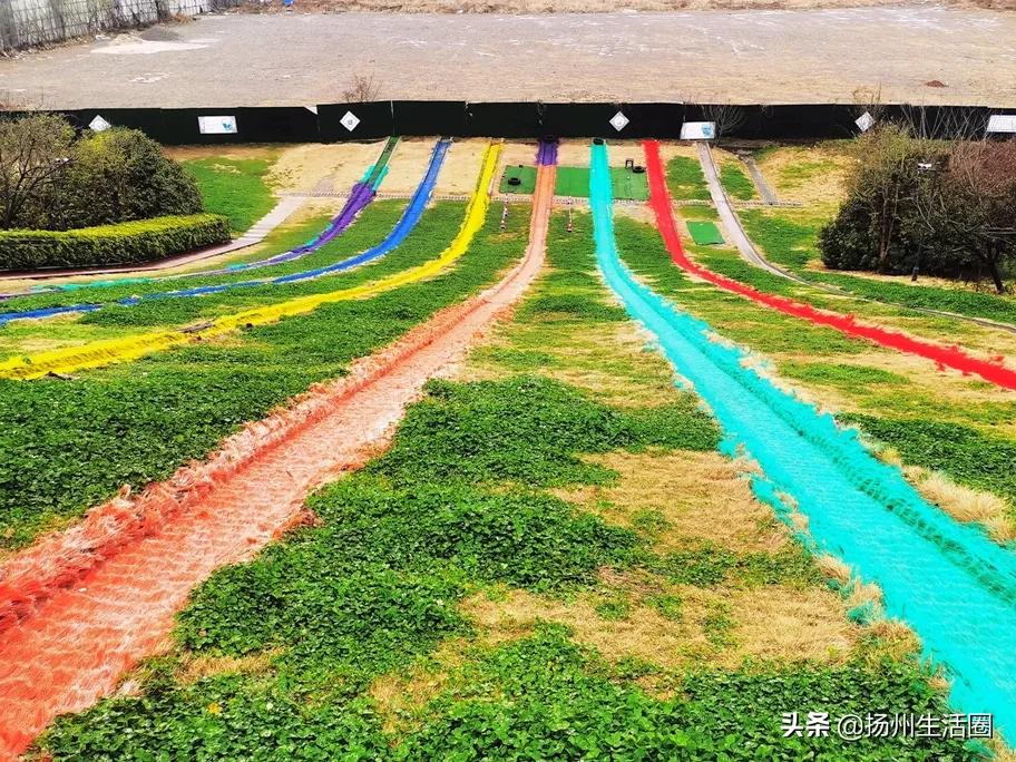 扬州盆栽花卉批发市场,扬州花木城花卉批发市场