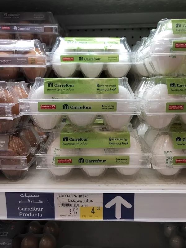 迪拜生活真实工资,在迪拜怎么降低生活成本