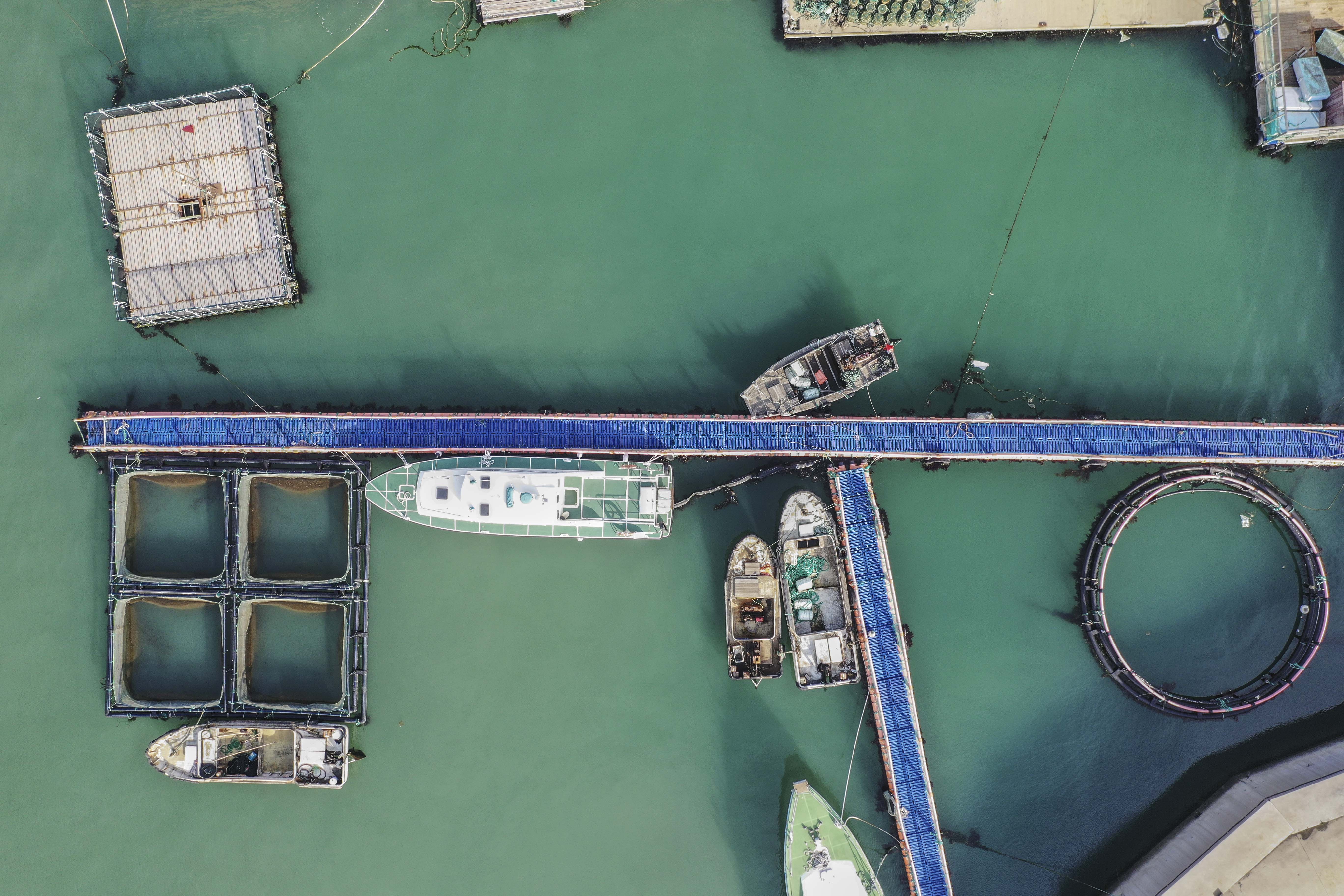 开发区鲁海丰海洋牧场是几星,青岛鲁海丰海洋牧场