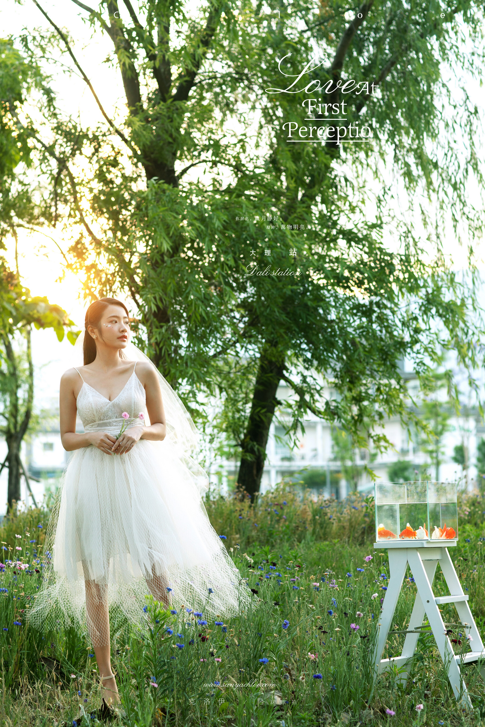 5套婚纱照选片技巧,婚纱照选片技巧及注意事项图片