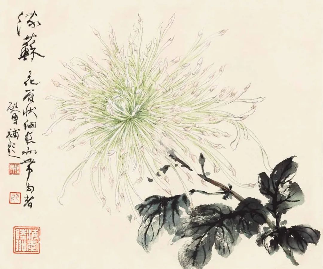 秋菊怎么画简单,秋菊花图片怎么画