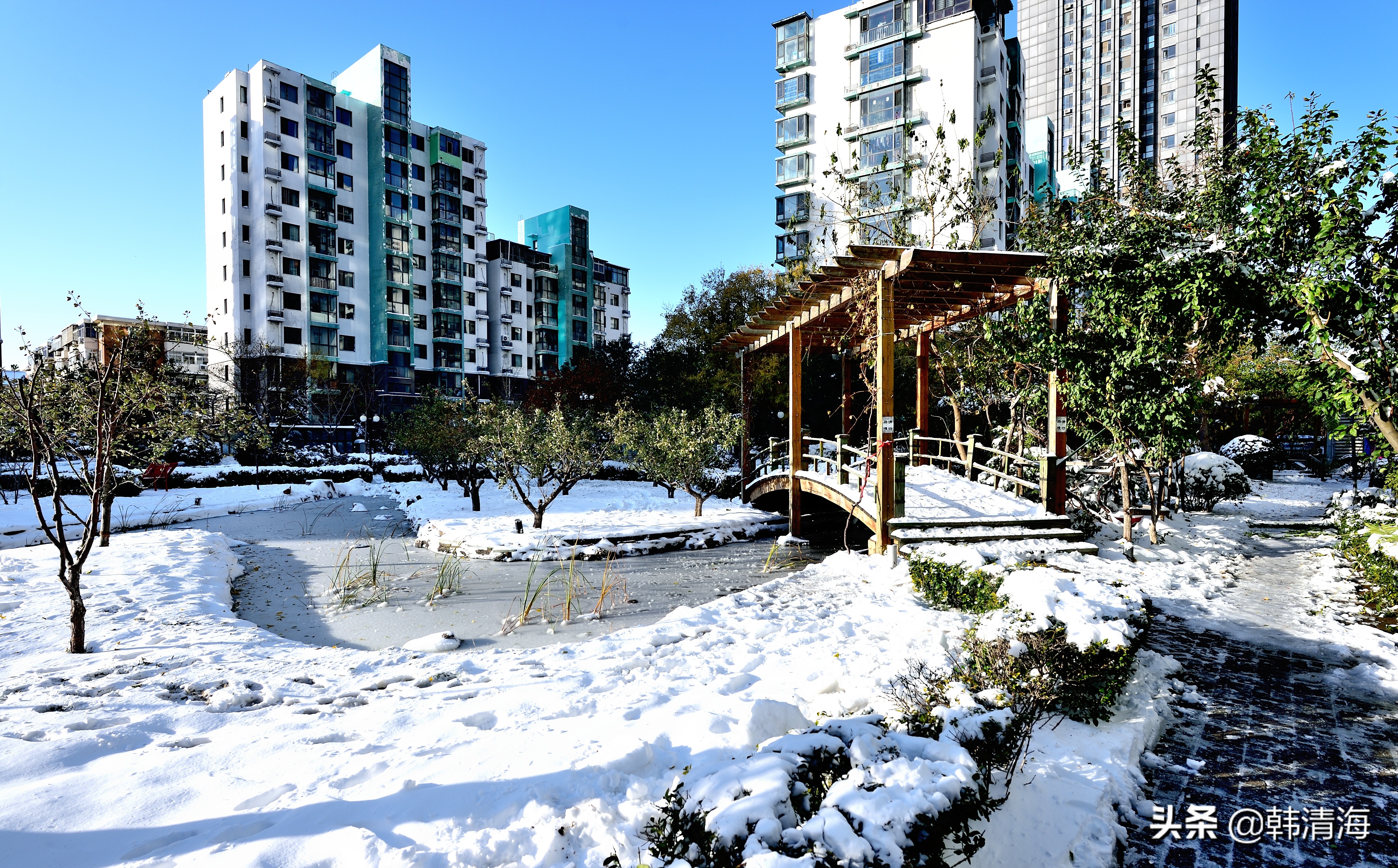 天津2022年雪景,天津第一场雪的美景