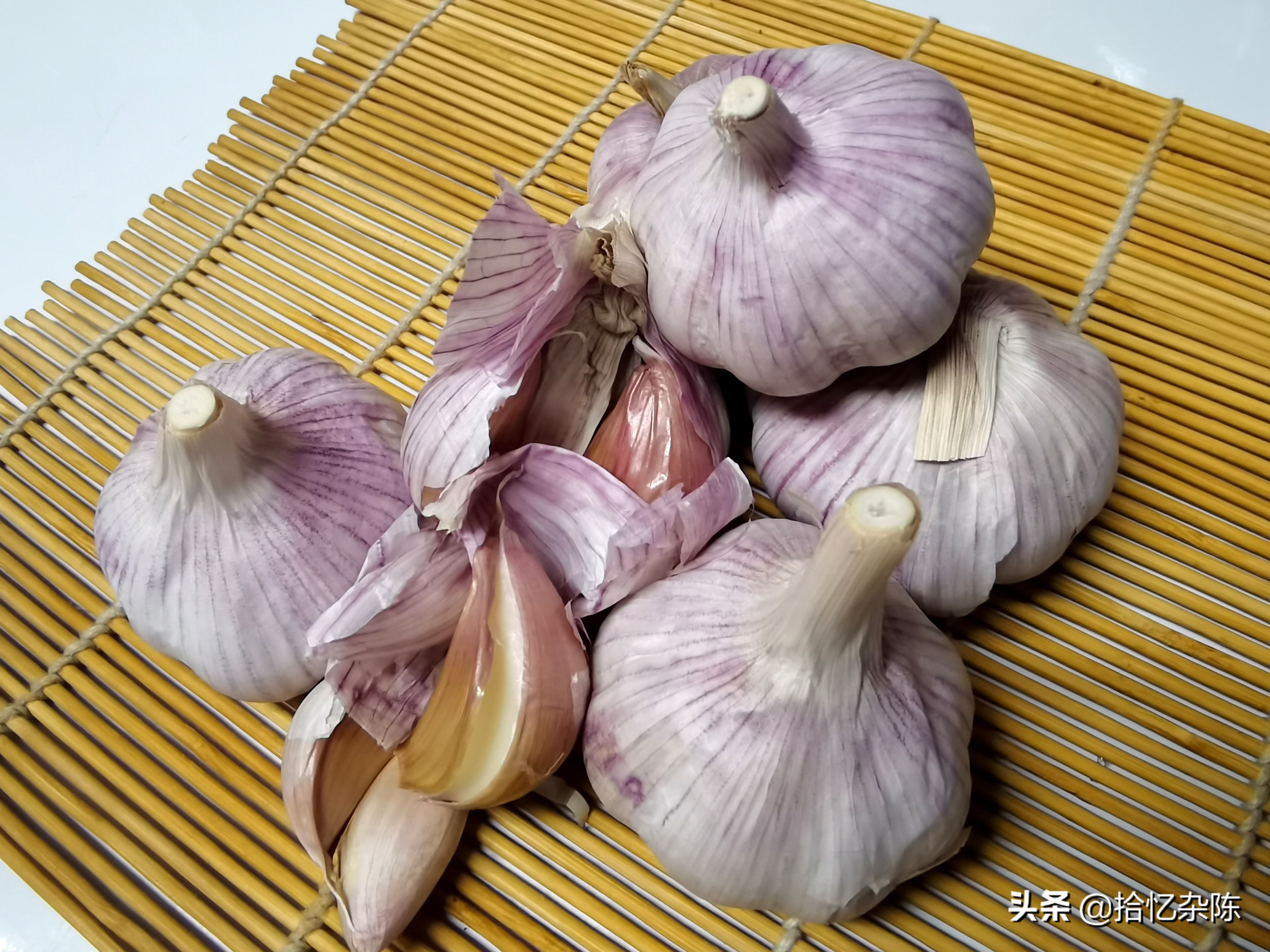 寻根文化,寻根传统文化视频