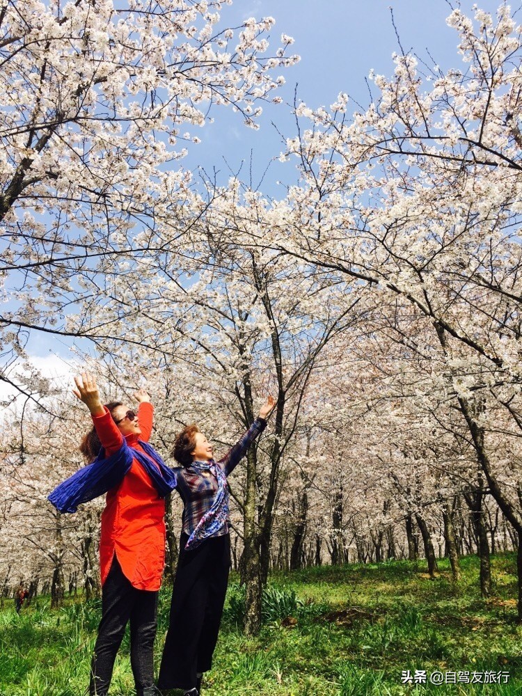 8月最佳旅行地推荐自驾游,4-5月份最佳的自驾短途旅行