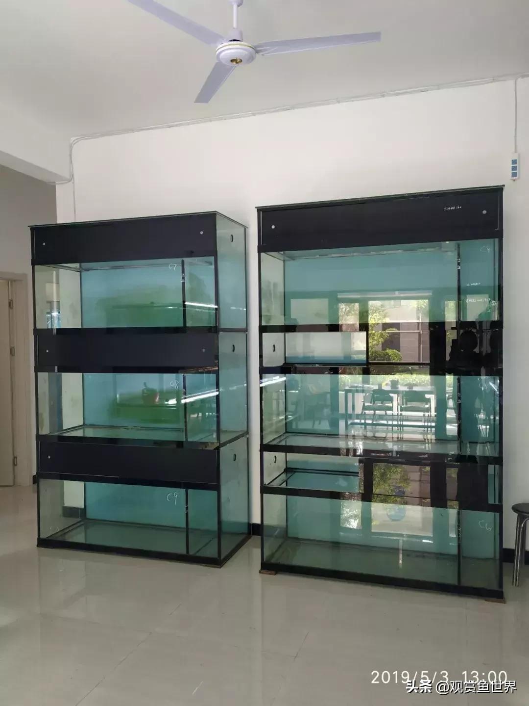 梦想的三湖世界持续建设中……方位:中国天津