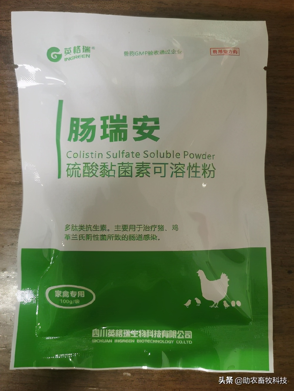 鹅肠道病的症状与治疗,快速判断鹅病的四种方法