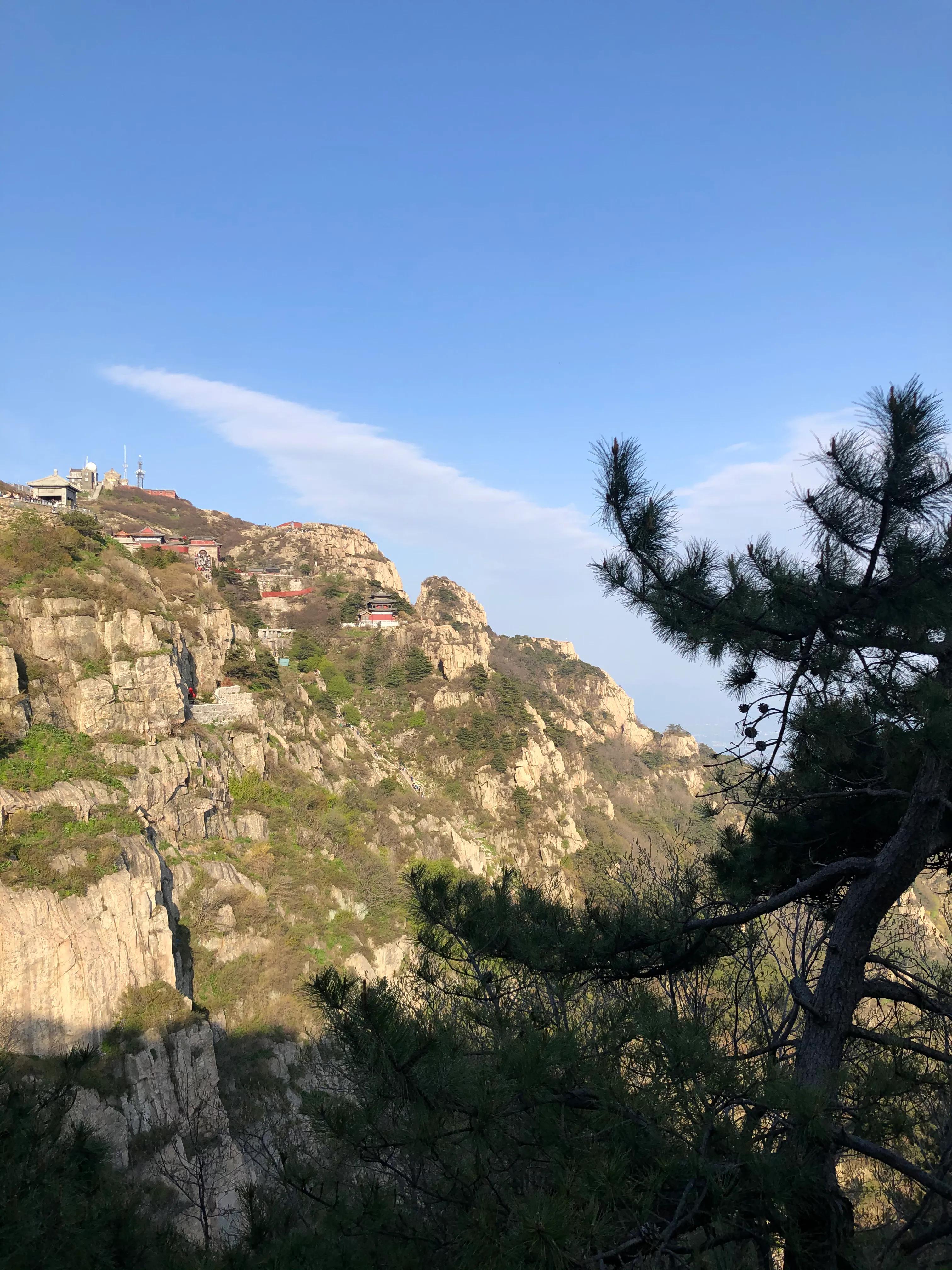 老子第四十八章感悟50字,老子18章感悟心得