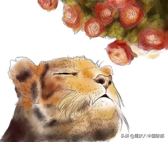 八中国际部｜群星闪耀之朱子峣：心有猛虎，细嗅蔷薇