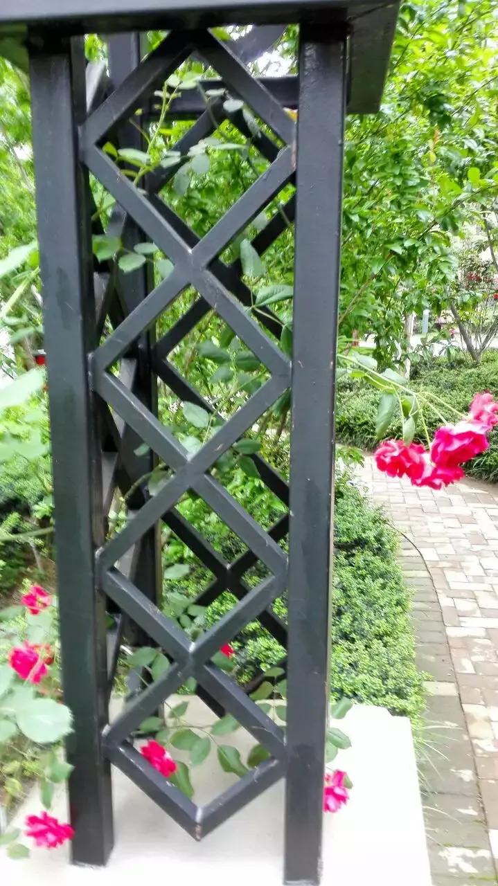 阳台上最美的小花,阳台上盛开的一朵小花