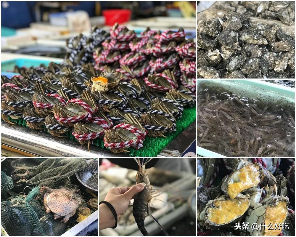 广州海鲜天堂介绍,广州黄沙有哪些海鲜