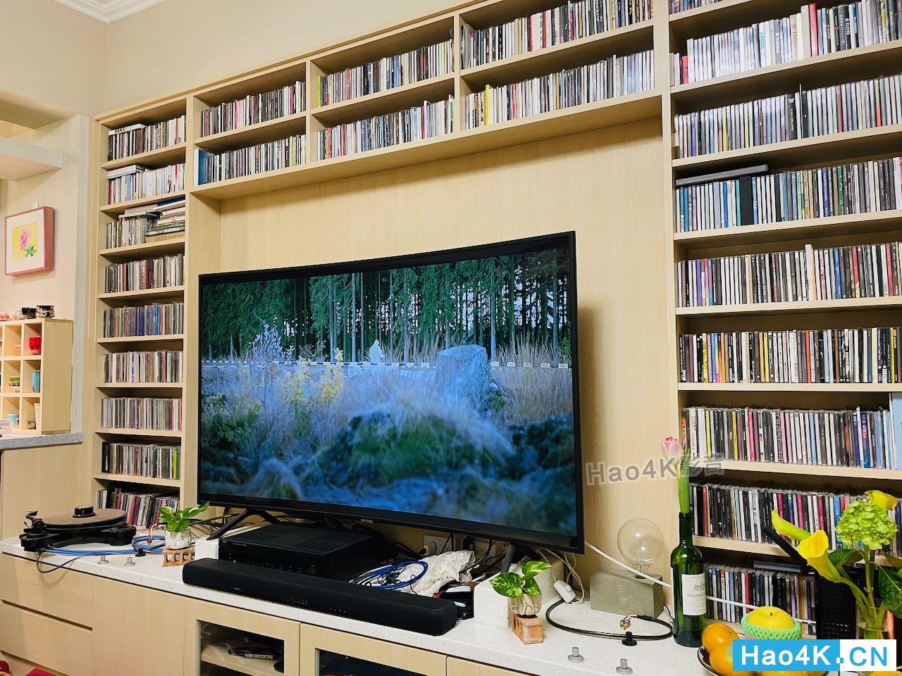 德国金榜cantonct2000音箱怎么样,德国金榜cantonk1音箱