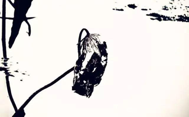 秋天正好拍水墨中国风，你试试这些题材