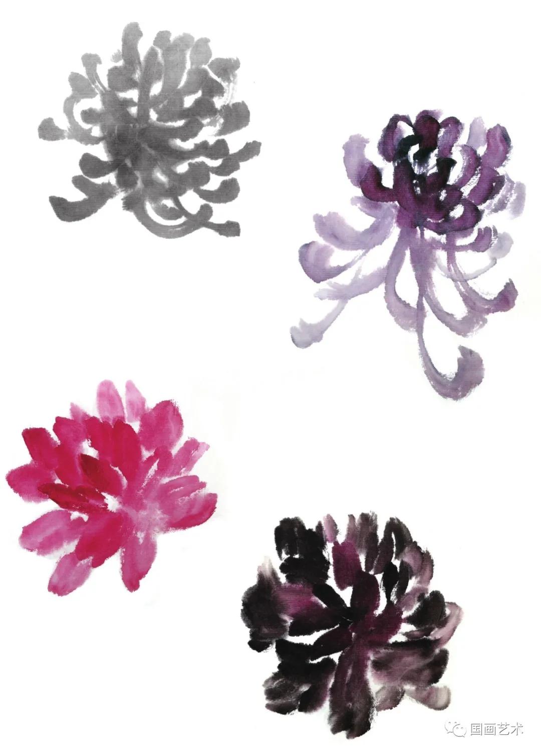 国画写意菊花龙爪菊,写意菊花画法教程简单