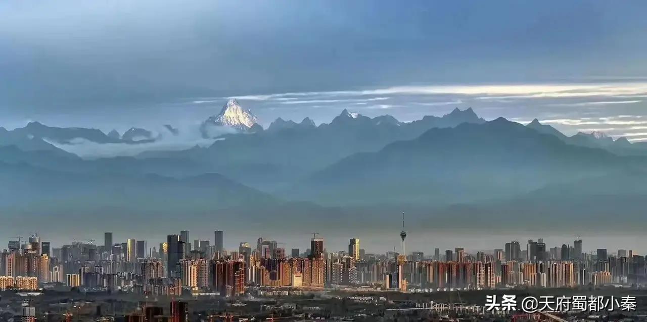 四川正邦集团现状,正邦集团内部信息