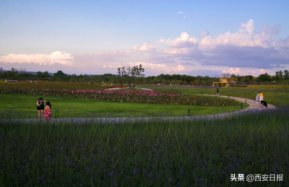 西安市有哪些公园免费开放,西安免费儿童玩的公园
