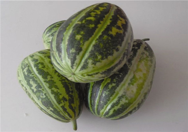 菜瓜种植病害,黄瓜菜瓜病虫害怎么防治