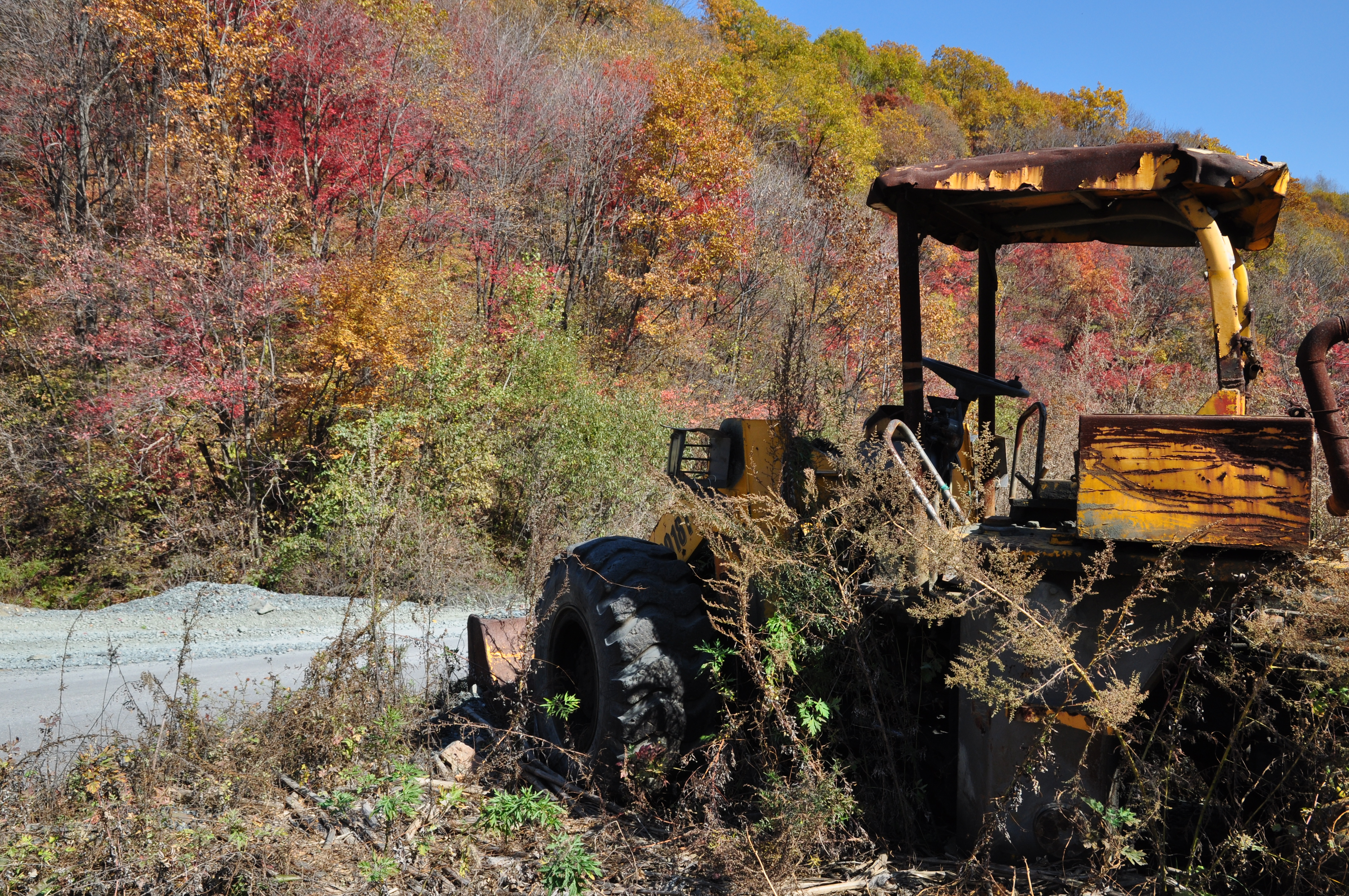 此时的辽宁不进景区照样处处风景，我带5位女同学野山里玩了一天