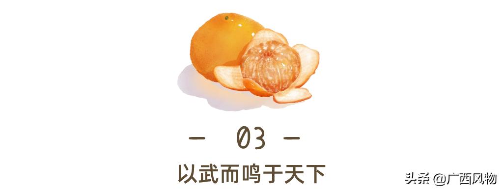 沃柑的最新吃法,沃柑做好看的东西