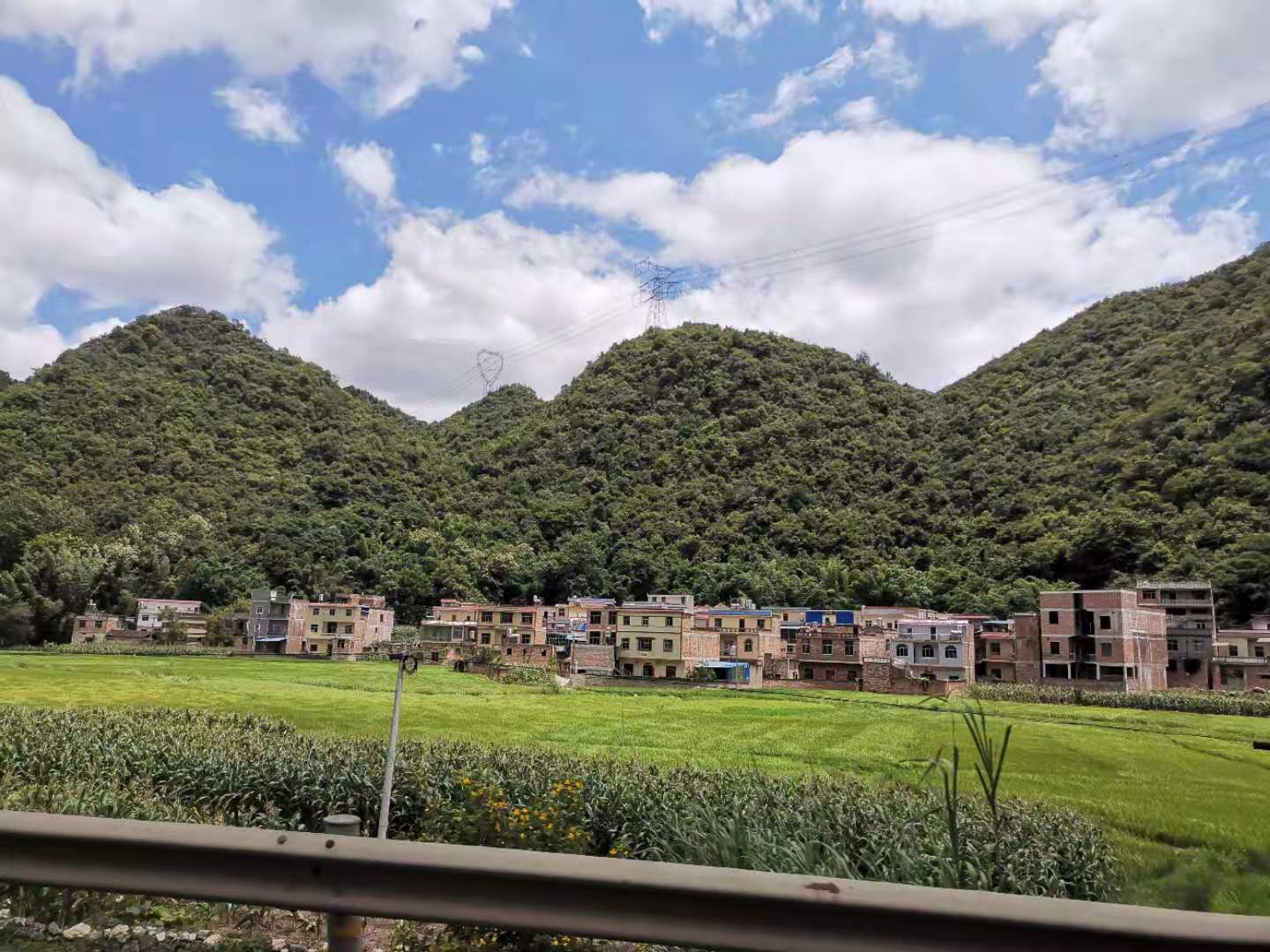 千里打疫苗，狂口大罗非