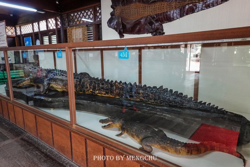 日本的哪个地方温泉最出名,日本最野的温泉