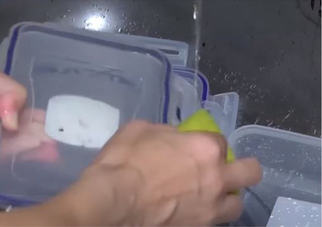 儿童饭盒密封圈发霉为什么,儿童饭盒藏细菌