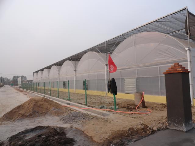 连栋温室大棚价格是多少钱一平方,薄膜连栋温室大棚多少钱一亩