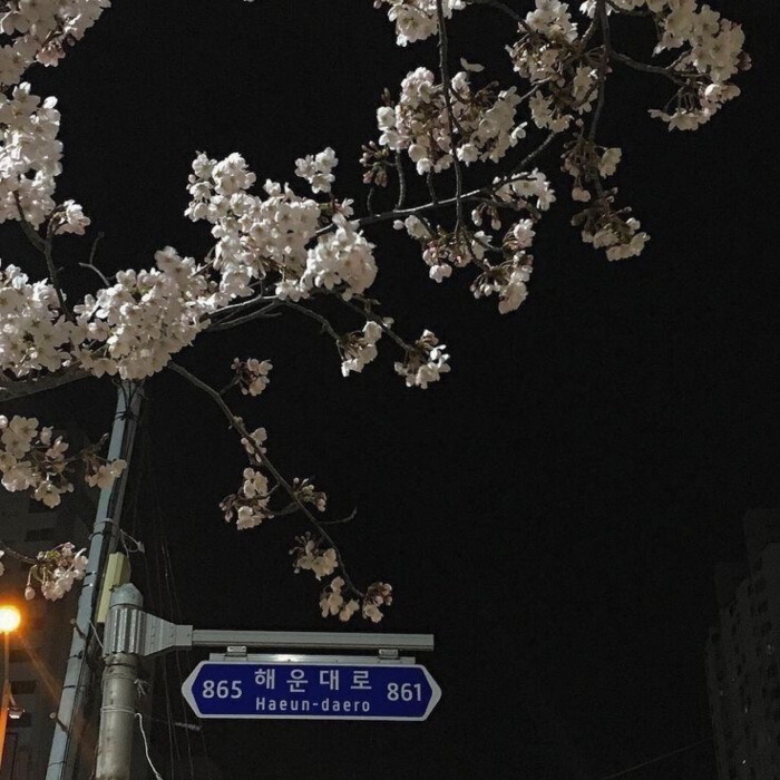 十二星座长相最帅排行榜,十二星座男最好看的长相