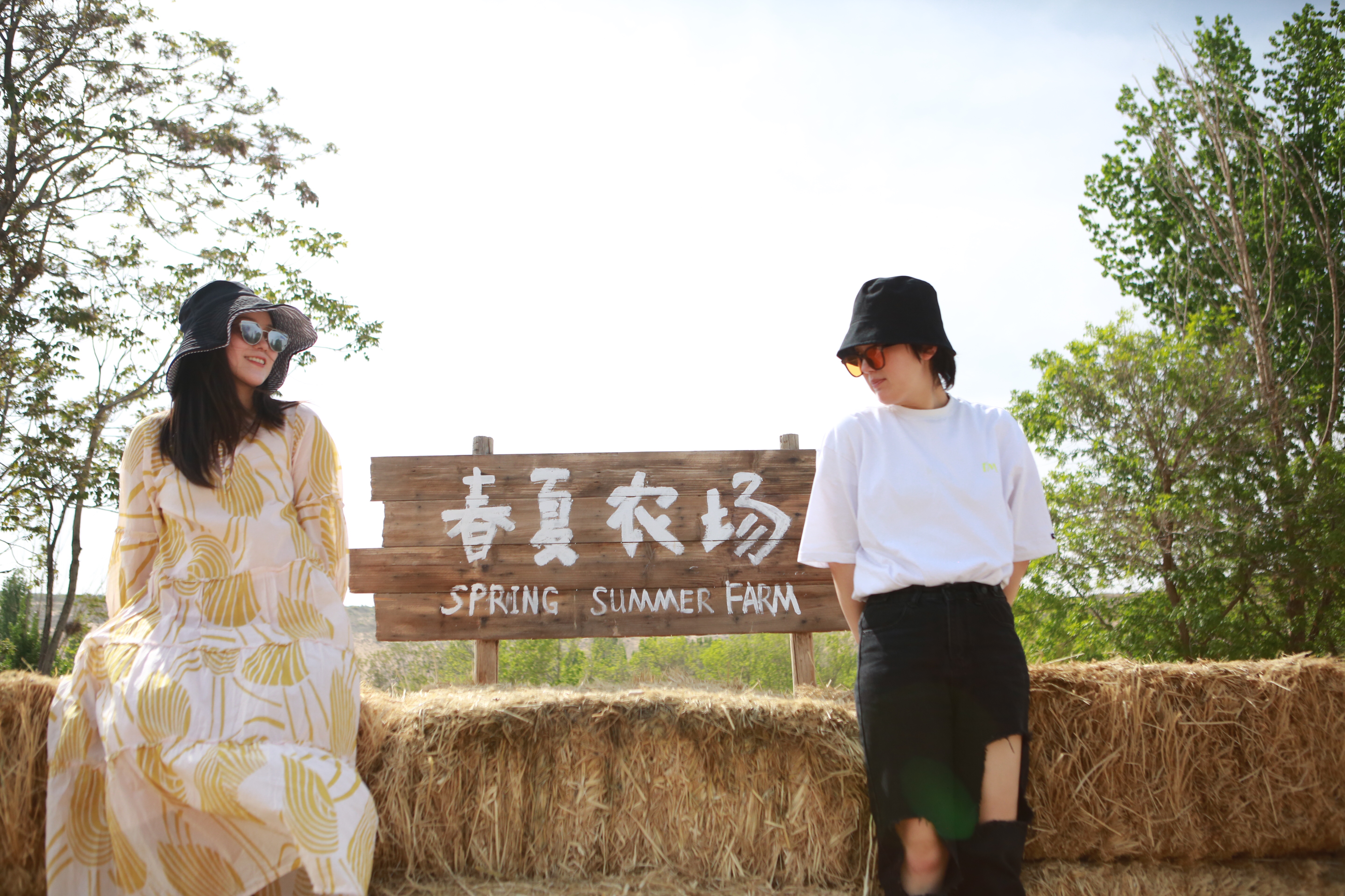 黄河中卫民宿,中卫民宿排行榜前十名