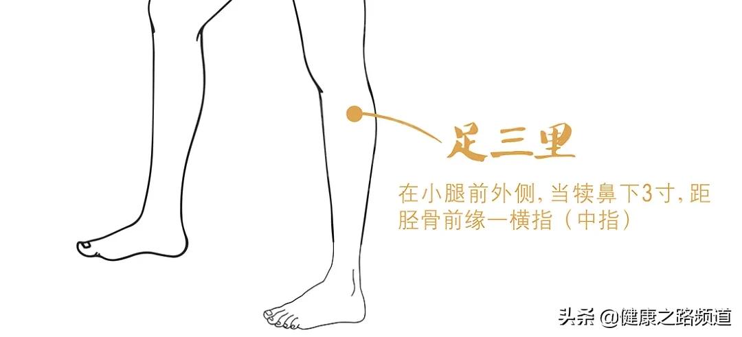 半夜醒了睡不着按什么穴位,入睡特别困难的穴位