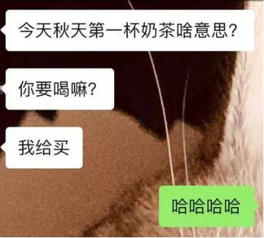 秋天第一杯奶茶你没喝过,秋天的第一杯奶茶刷爆朋友圈