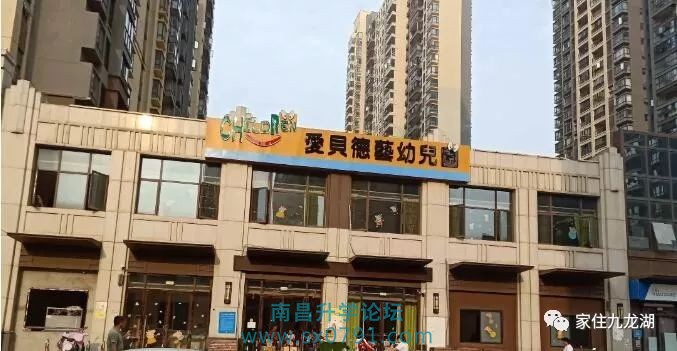 九龙湖幼儿园招生公告,九龙湖大地洵美幼儿园