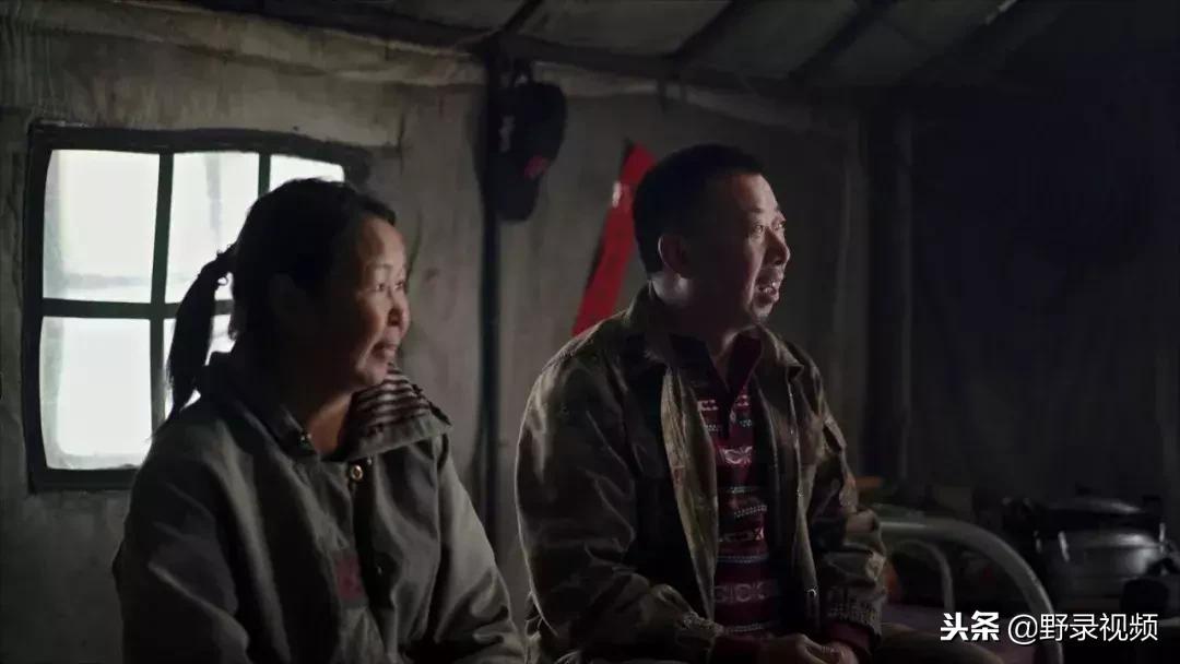 敖鲁古雅原始部落驯鹿喂草,敖鲁古雅驯鹿旅行