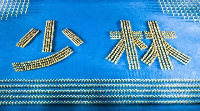 少林塔沟武校最新视频,少林塔沟武校上操