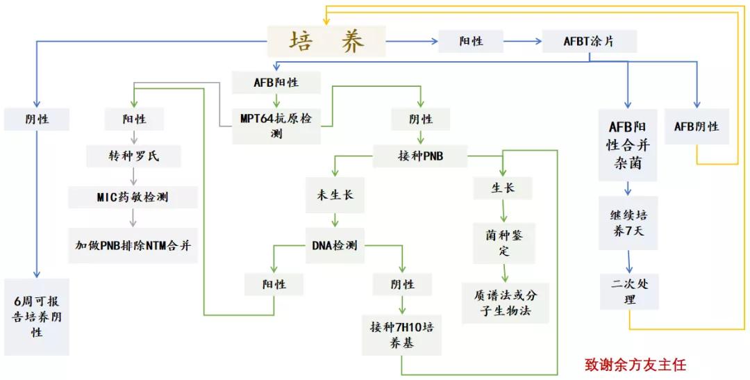 结核诊断方法和防治原则,结核的病原学诊断