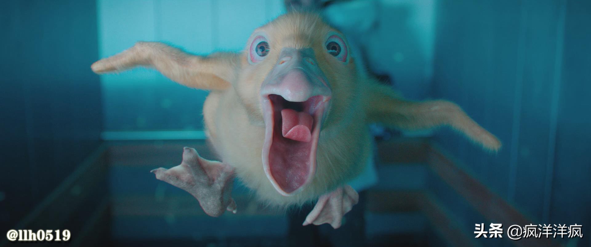 城市猎人丘比特,城市猎人香水推荐