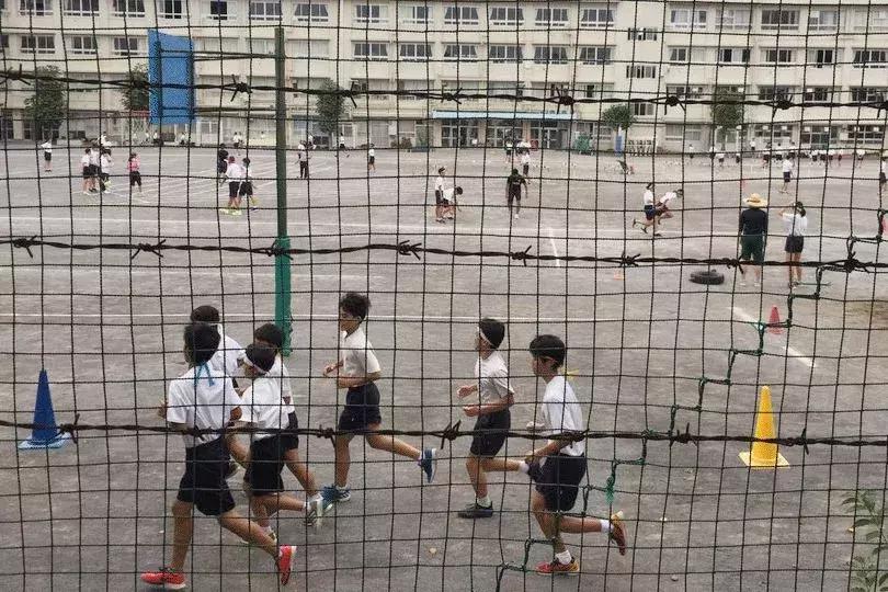 “我花200块，买来女儿性早熟”：多少中国孩子正在被掏空