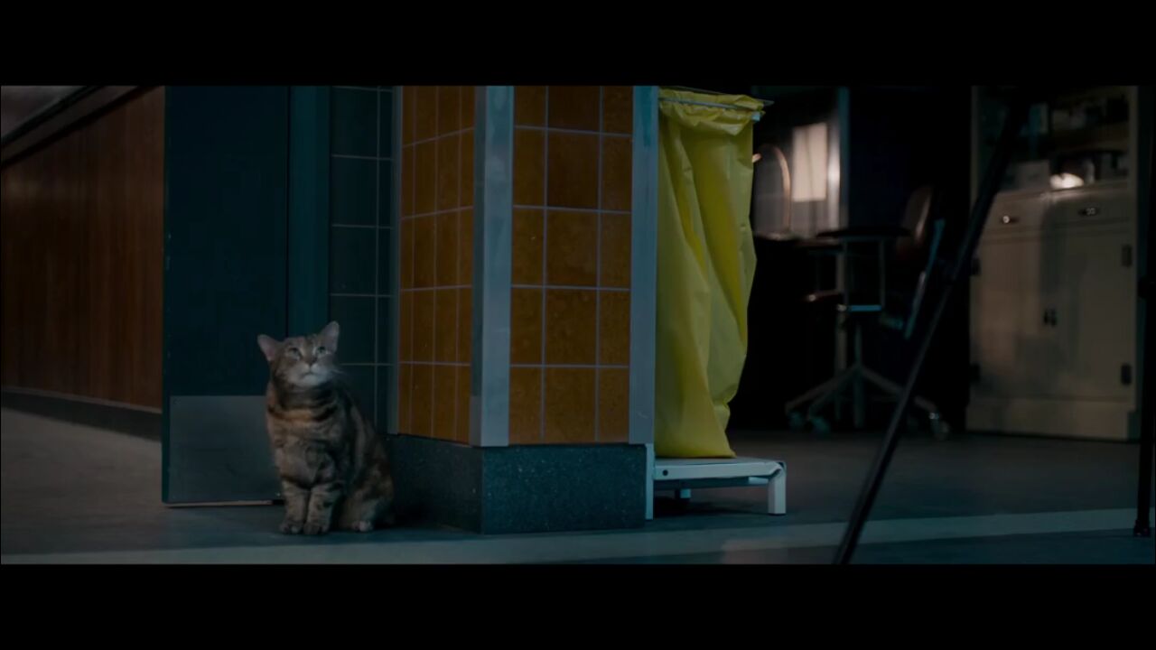 女主角竟是绝色女尸?含爱情、亲情的精彩惊悚片——《无名女尸》