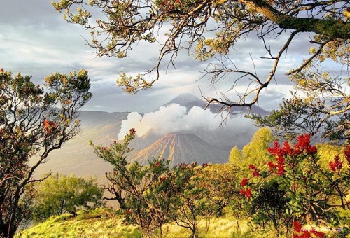 唐诗以情胜人，宋诗以理胜人，这首诗就是最好证明，经典传唱千年