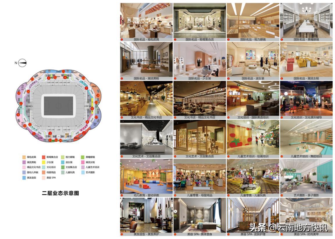 最美荷花争相怒放,最美荷花绽放的整个过程视频