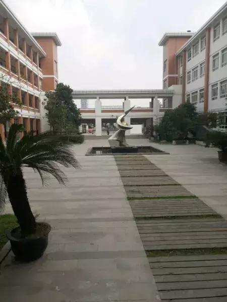 苏州几所学校停学通知最新,苏州的哪些学校被停课了