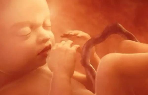 瀛愬寰堣杽浼氶暱鍘氬悧,瀛愬鏈夌偣钖勬湁浜嬪悧