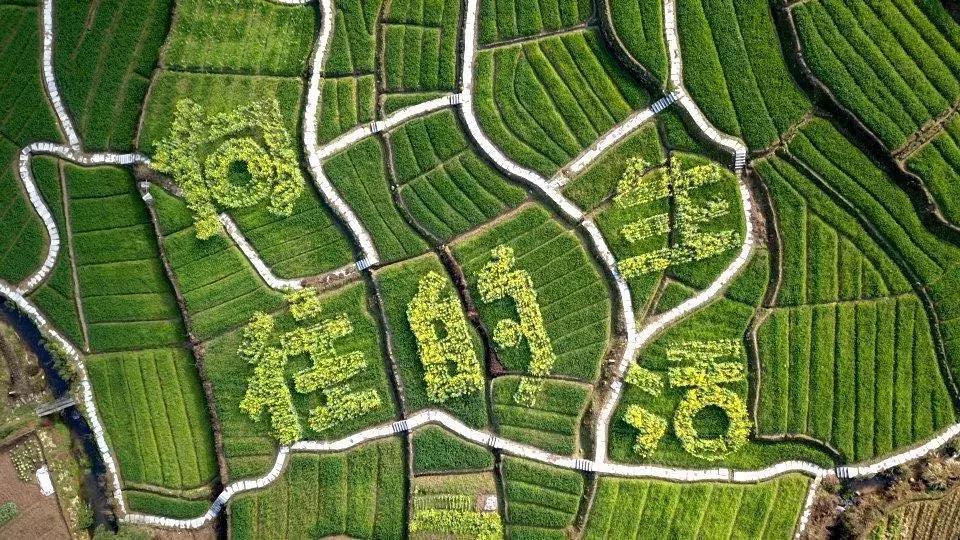 震撼！钱塘江畔出现巨型画作，有28个足球场这么大！