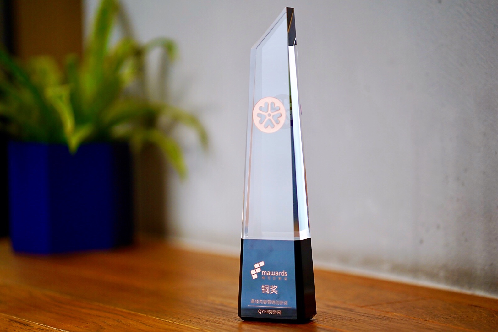 再拿一奖！穷游网荣获“梅花网”最佳内容营销创新奖